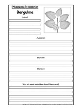 Pflanzensteckbrief-Bergulme-SW.pdf